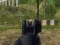 游戏軍隊射手在线