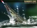 游戏夏季湖泊 1.5在线 游戏夏季湖泊 1.5在线