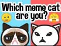 游戏你是哪隻迷因貓？在线