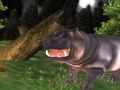 游戏野生河馬狩獵在线