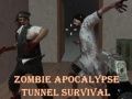 游戏殭屍 Apocalypse 隧道生存在线