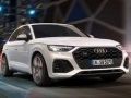 游戏奧迪 SQ5 TDI 滑行在线