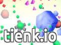 游戏tienk.io在线