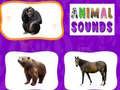 游戏動物聲音在线 游戏動物聲音在线