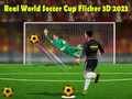 游戏真實世界足球杯 Flicker 3D 2023在线