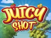 游戏多汁射擊在线