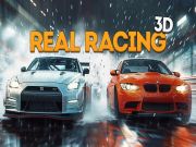 游戏真正的賽車3D在线