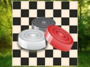 游戏經典跳棋：森林在线