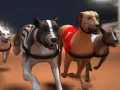 游戏格雷伊獵犬賽在线