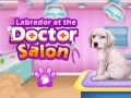 游戏拉布拉多犬在獸醫沙龍在线