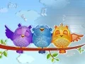 游戏華麗的鳥類拼圖在线 游戏華麗的鳥類拼圖在线