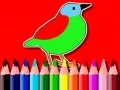 游戏回到學校：鳥類塗色書在线