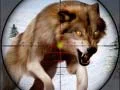 游戏野生動物獵捕在线