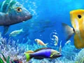 游戏讓我們釣魚在线