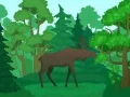 游戏野生動物著色在线