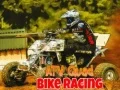 游戏ATV 四輪摩托車賽在线