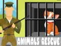 游戏動物救援在线