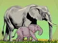 游戏野生動物及其寶寶在线