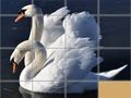 游戏動物滑動拼圖在线