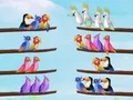 游戏鳥類分類拼圖在线