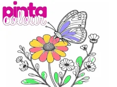 游戏Pinta 顏色在线