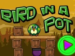 游戏鍋中的鳥在线 游戏鍋中的鳥在线