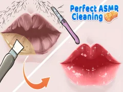 游戏完美的ASMR清潔在线