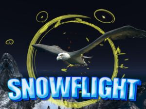 游戏雪飛在线