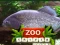 游戏動物園問答在线