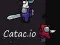 游戏Catac.io在线