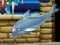 游戏我的海豚秀6在线