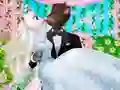 游戏安吉拉與湯姆的夢想婚禮在线