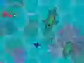 游戏Sharkz.io在线