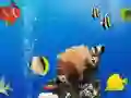 游戏海底差異在线 游戏海底差異在线