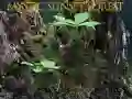 游戏神秘的日落森林在线