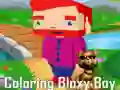 游戏塗顏色的Bloxy男孩在线 游戏塗顏色的Bloxy男孩在线