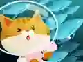 游戏釣魚貓在線在线 游戏釣魚貓在線在线