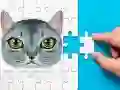 游戏阿比西尼亞拼圖挑戰在线