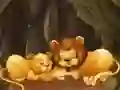 游戏有趣的動物園拼圖在线