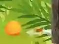 游戏熱帶斬手在线 游戏熱帶斬手在线