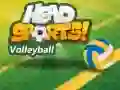 游戏Head Sports 排球在线