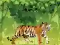 游戏憤怒的老虎填色在线