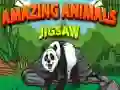 游戏奇妙的動物拼圖在线 游戏奇妙的動物拼圖在线
