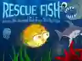游戏拯救魚在线