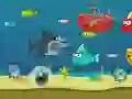 游戏瘋狂鯊魚在线 游戏瘋狂鯊魚在线