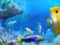 游戏讓我們釣魚在线