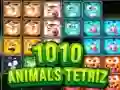 游戏1010 動物方塊在线 游戏1010 動物方塊在线