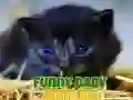 游戏有趣的寶寶動物在线 游戏有趣的寶寶動物在线