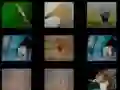 游戏動物記憶在线 游戏動物記憶在线