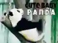 游戏可愛的寶寶熊貓在线 游戏可愛的寶寶熊貓在线